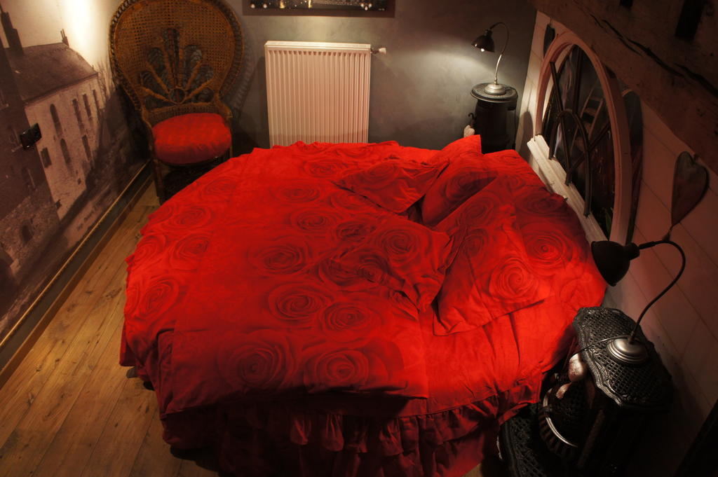 Bed and Breakfast Aux Logis De La Solre Ferrière-la-Petite Zimmer foto